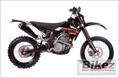 2010 GAS GAS EC 450 4T photo
